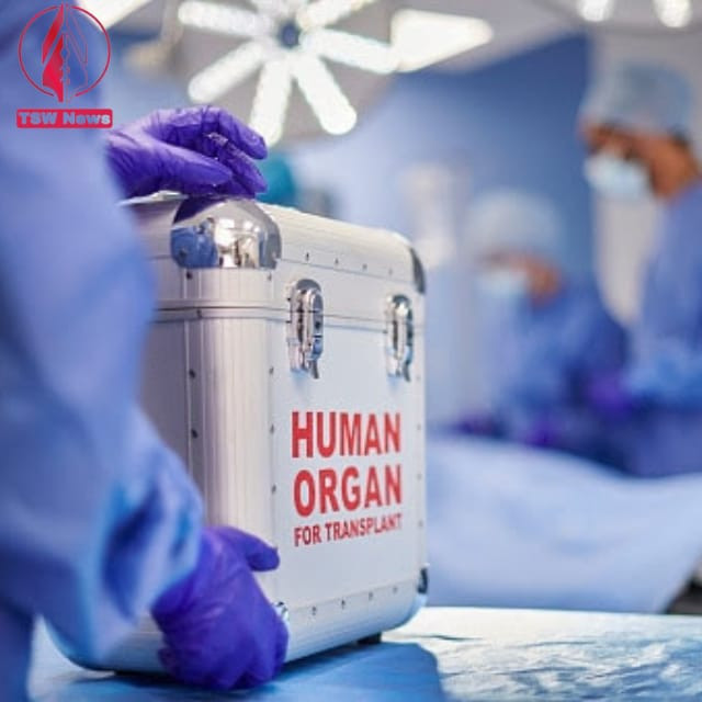 Organ removal from a donor is a significant surgery that necessitates time for recuperation, including both hospitalization and post-hospitalization period