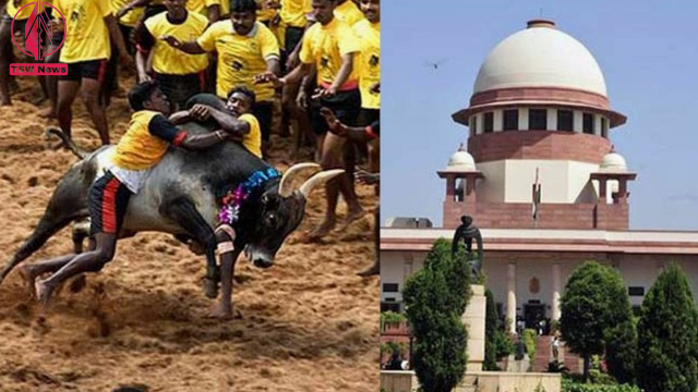 Hearing of petitions against Jallikattu in Supreme Court tomorrow