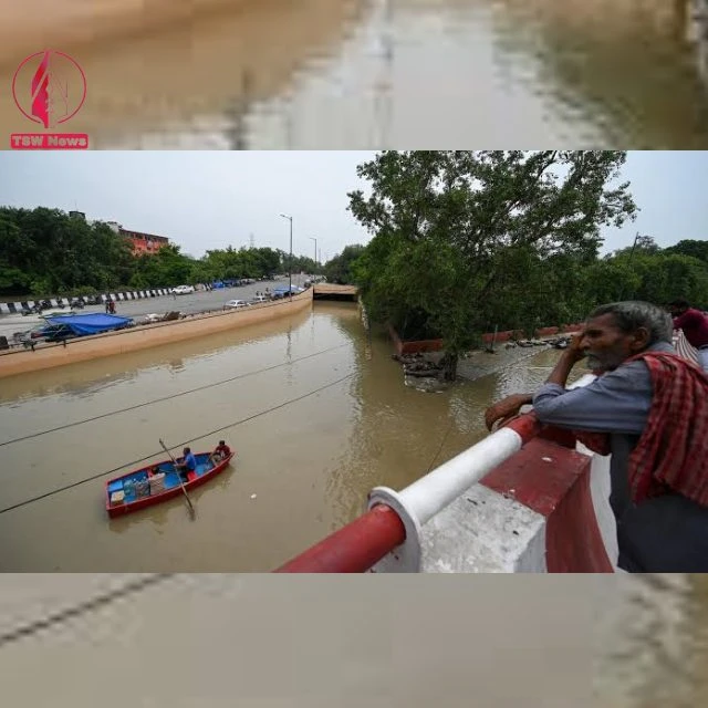 Yamuna Khadar, after the flood water receded