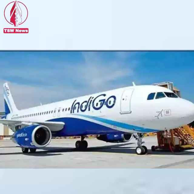 Indigo Airlines