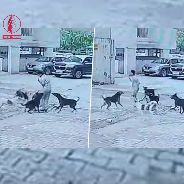 Child Attacked by Dogs in Ghaziabad