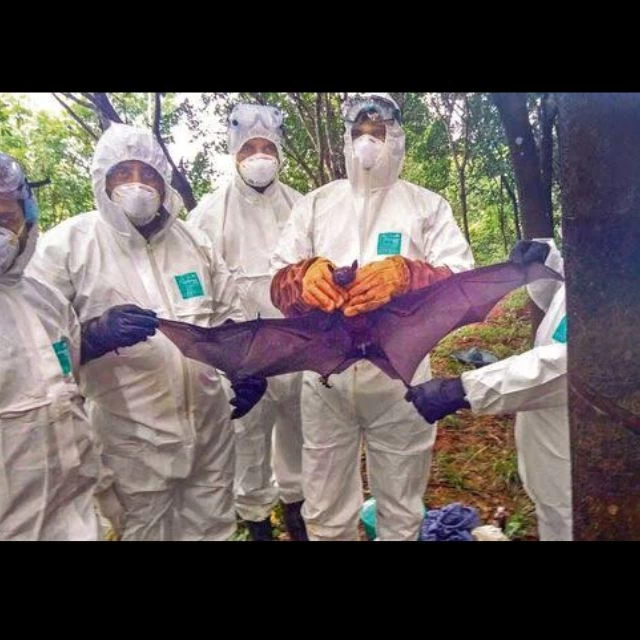 Nipah Virus Claims Two Lives in Kerala