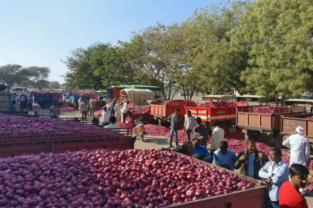 Relief for Nashik Onion Traders as 13-Day Strike Comes to an End