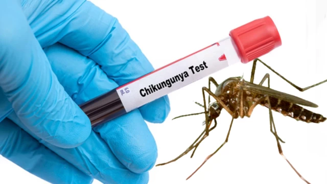 Breakthrough Chikungunya Vaccine Approved by USFDA, Offers Vital Protection Against Global Threat