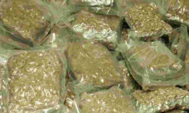 Telangana Authorities Seize 400kg Ganja Valued at Rs 1 Crore, Detain 8 Individuals