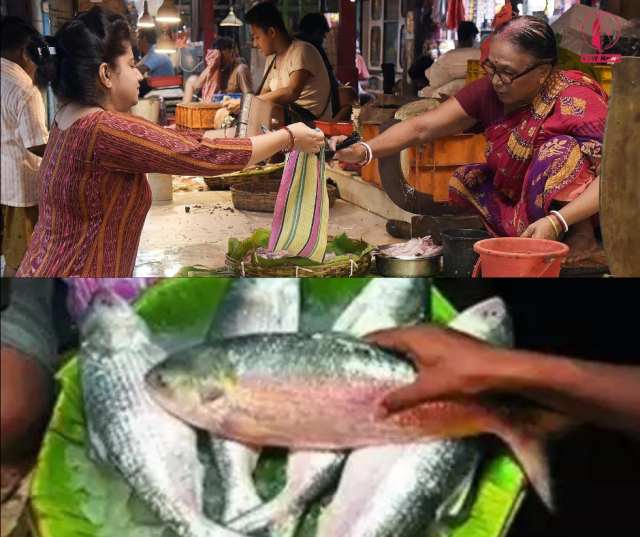 1726978324-ESRLb5eLDB.png
