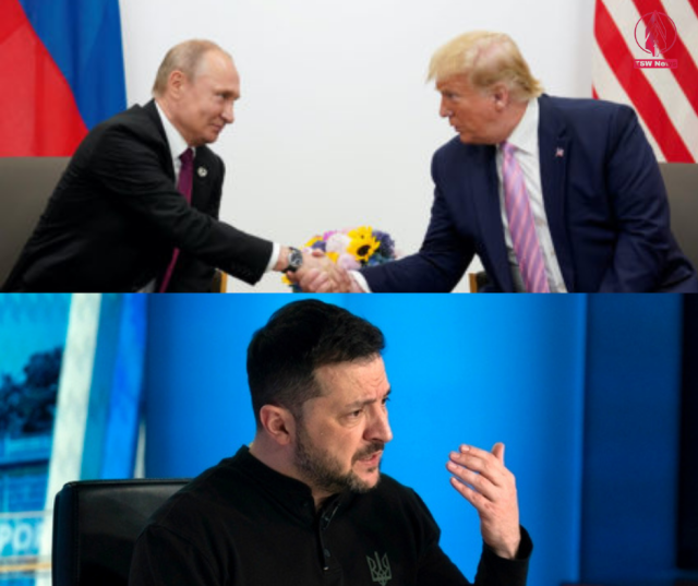 1742366772-J082PkqcPg.png