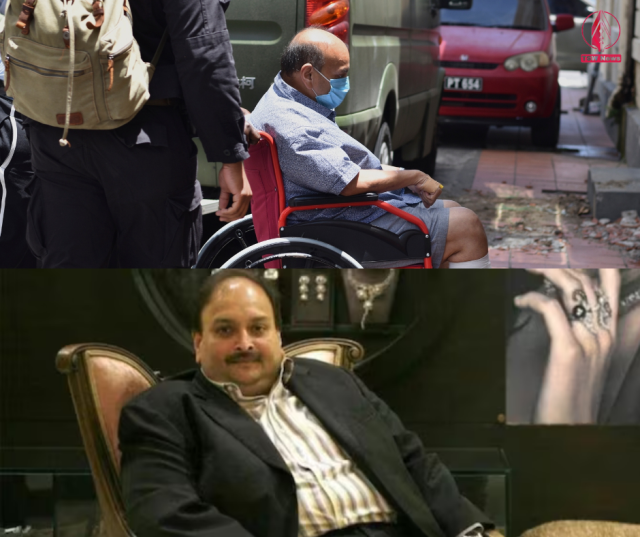1744623380-8pK1kGfyEp.png