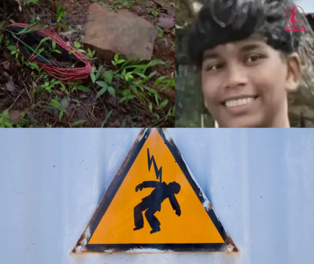 1749439400-bEiEKMj8df.png