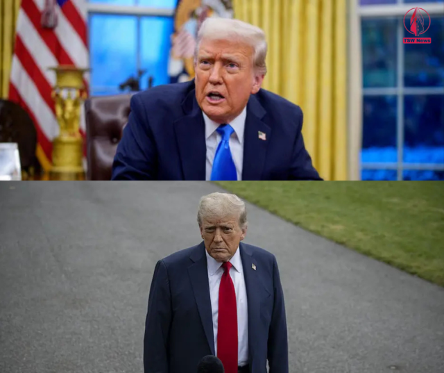 1750140022-wePVRxTrtH.png