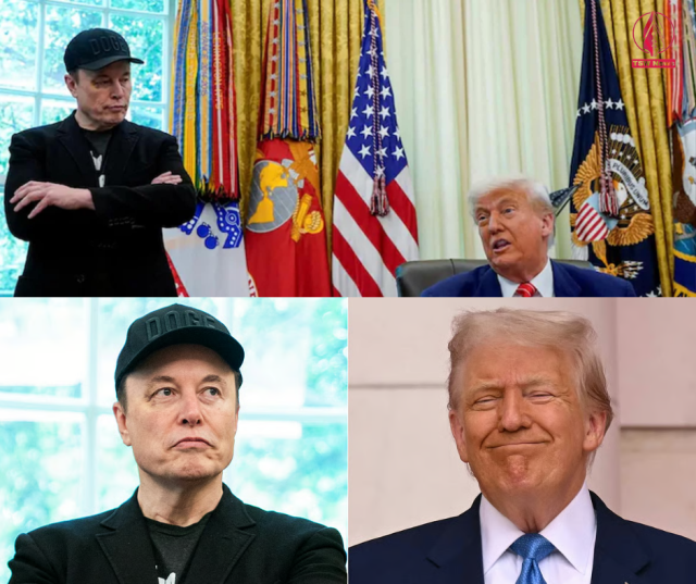 1751435056-p5SvpCtKFo.png