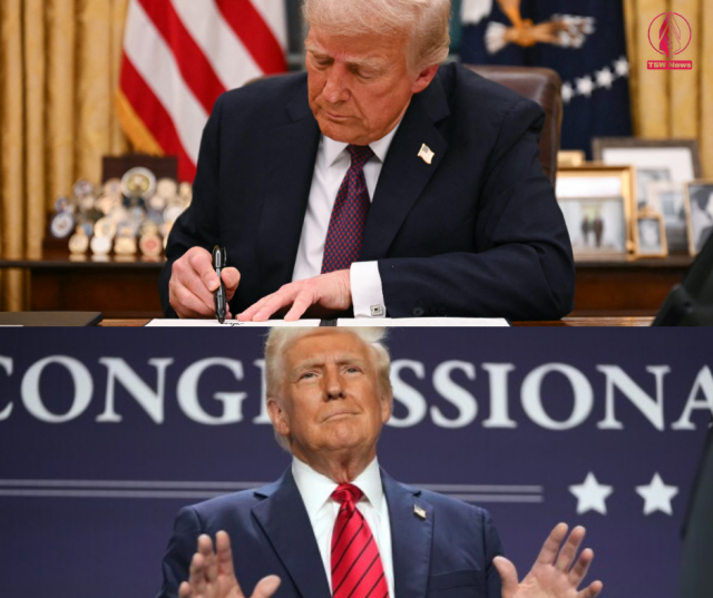 1755582532-Bz5ftn0K1r.png