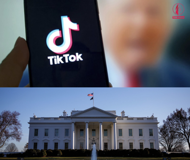 1755673017-19buKJ41Af.png