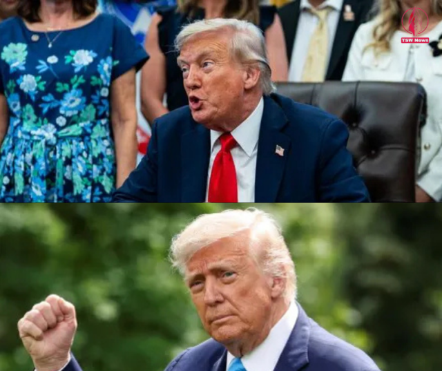 1756179920-BjfZOYGzcm.png