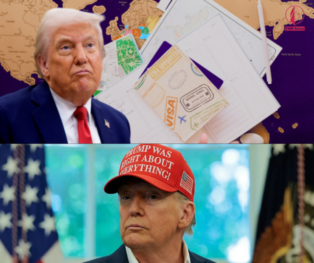 1756447477-BwwFztvQuP.png