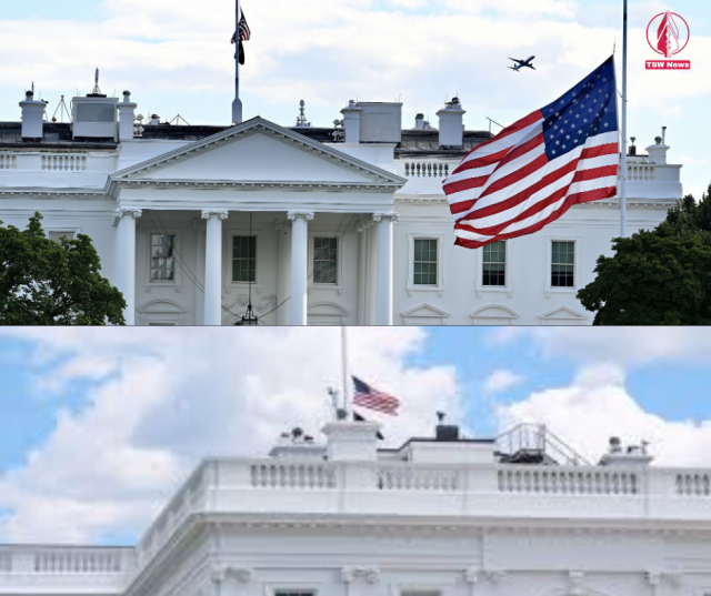 1756538424-Vek5YUDc6N.png