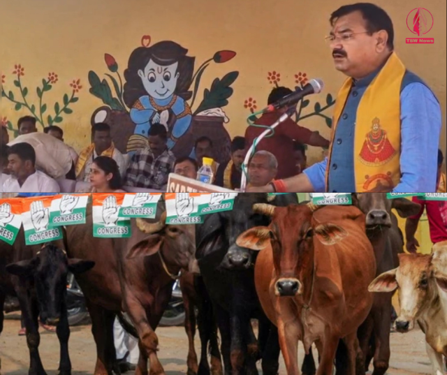 UP Minister Claims Cowshed Activities Can Cure Cancer, Reduce Blood ...